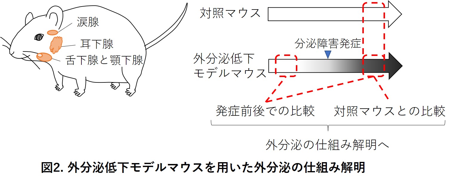 NOD strategy